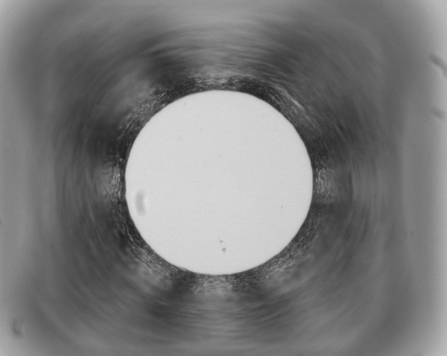 X0000091530820200708170948