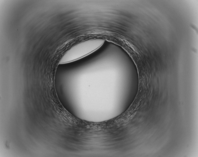 X0000091530821200708170948