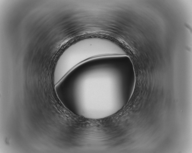 X0000091530822200708170948