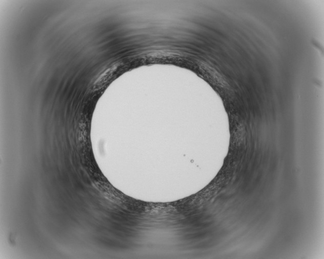 X0000091530824200708170948
