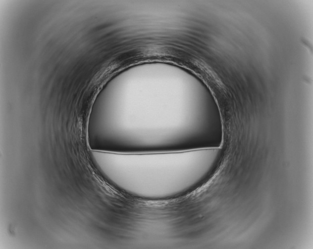 X0000091530825200708170948