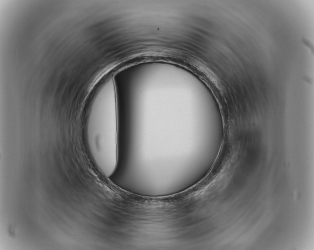 X0000091530829200708170948