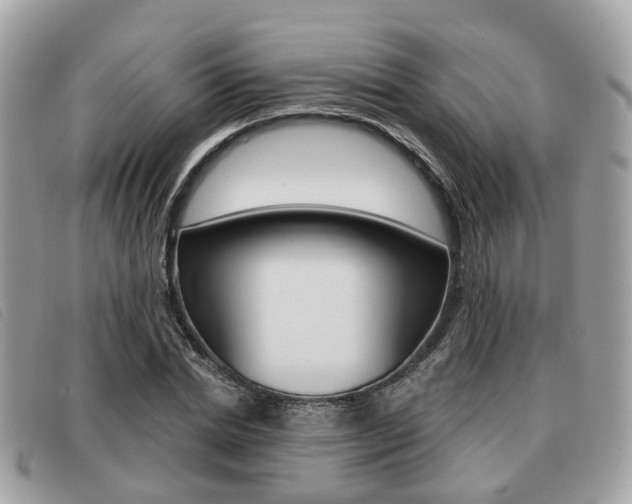 X0000091530830200708170948