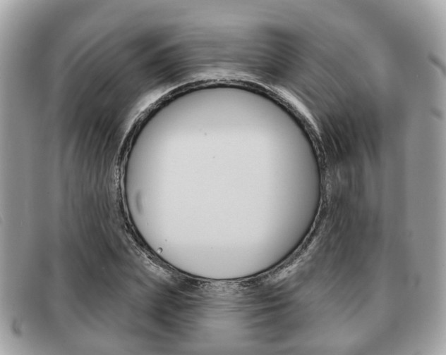 X0000091530831200708170948