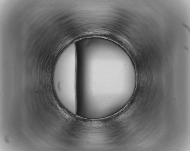 X0000091530833200708170948