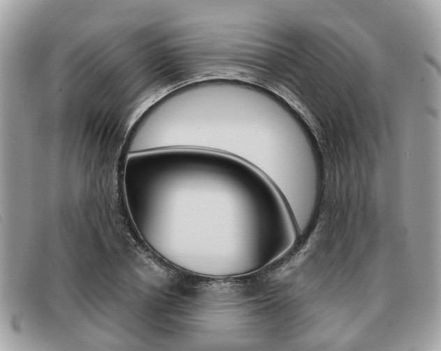 X0000091530834200708170948