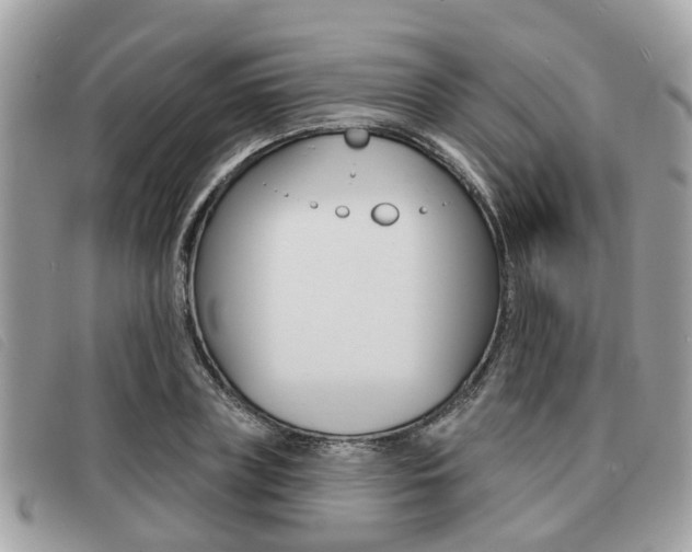 X0000091530835200708170948