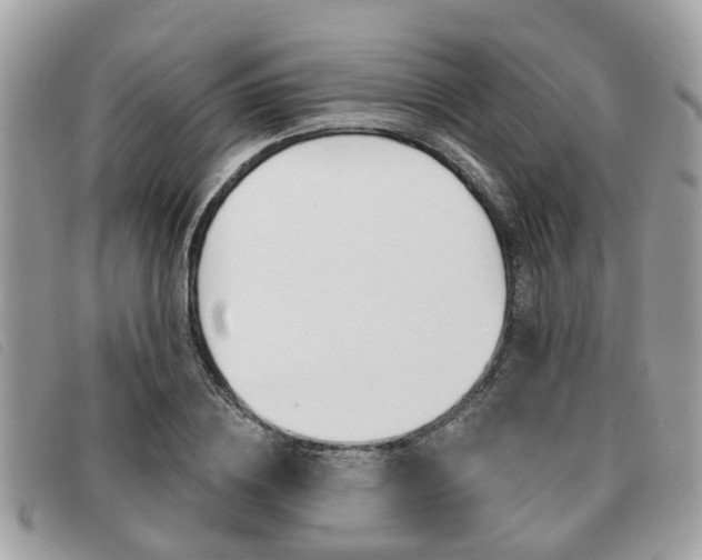 X0000091530836200708170948