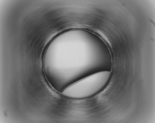 X0000091530837200708170948