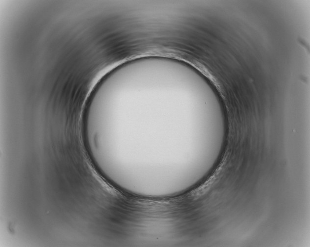 X0000091530838200708170948
