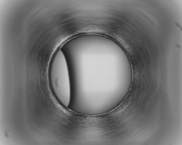 X0000091530840200708170948