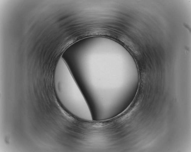 X0000091530841200708170948