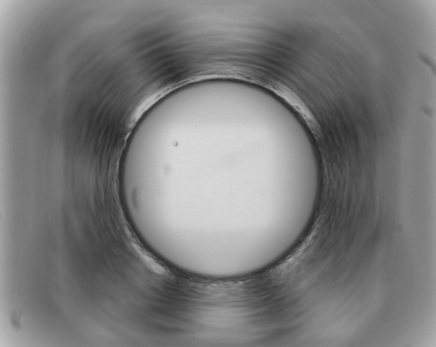 X0000091530842200708170948