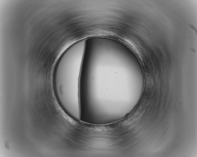 X0000091530843200708170948