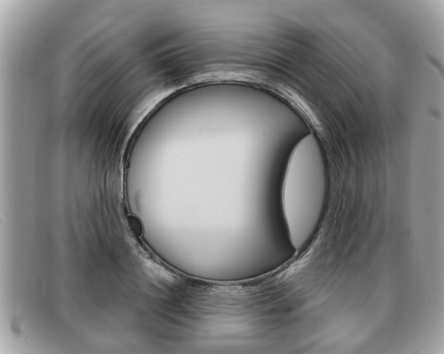 X0000091530844200708170948