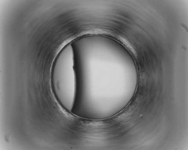 X0000091530845200708170948