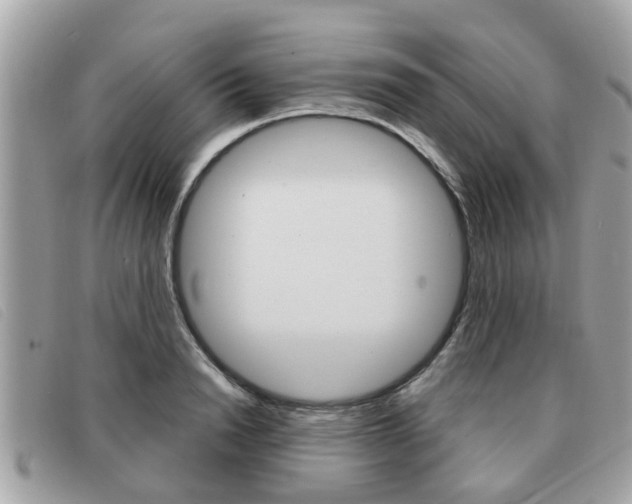 X0000091530846200708170948
