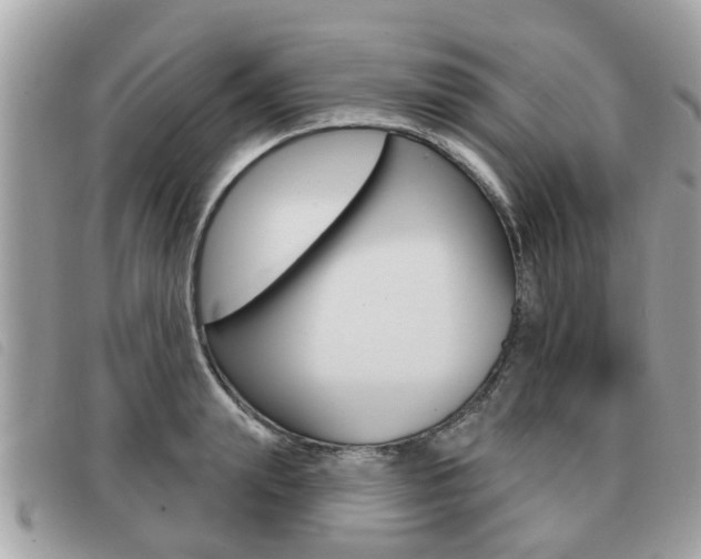 X0000091530847200708170948