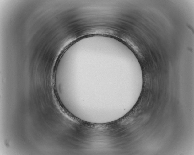 X0000091530848200708170948