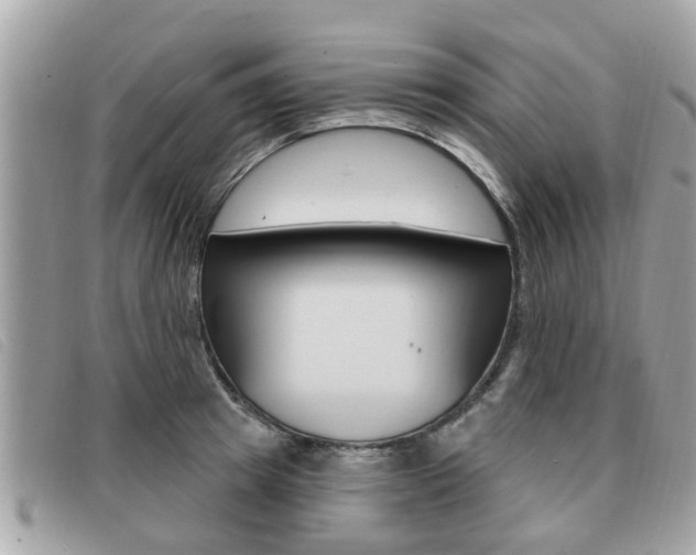 X0000091530849200708170948