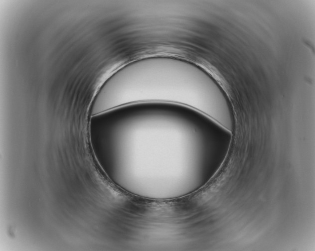 X0000091530850200708170948