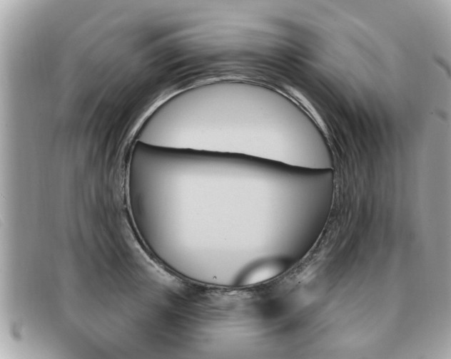 X0000091530851200708170948