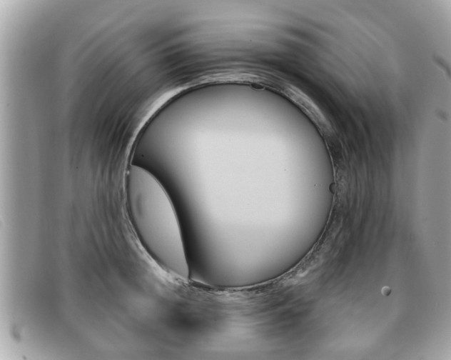 X0000091530852200708170948