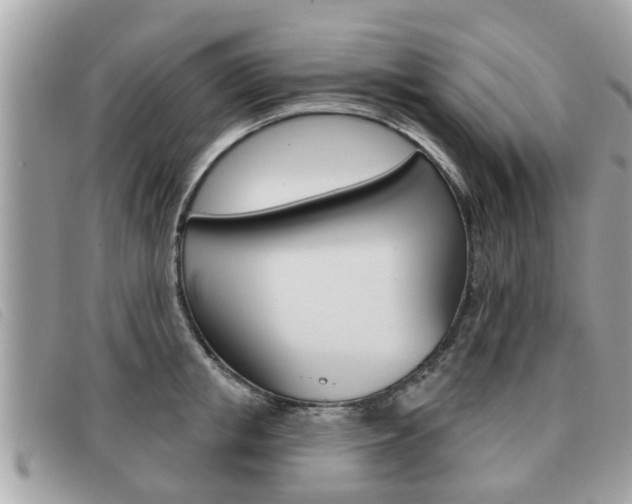X0000091530853200708170948