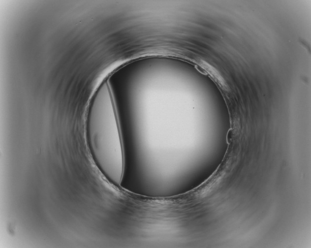 X0000091530854200708170948