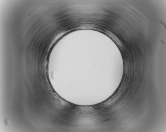 X0000091530856200708170948