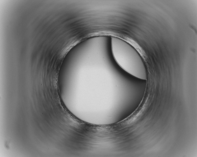 X0000091530857200708170948