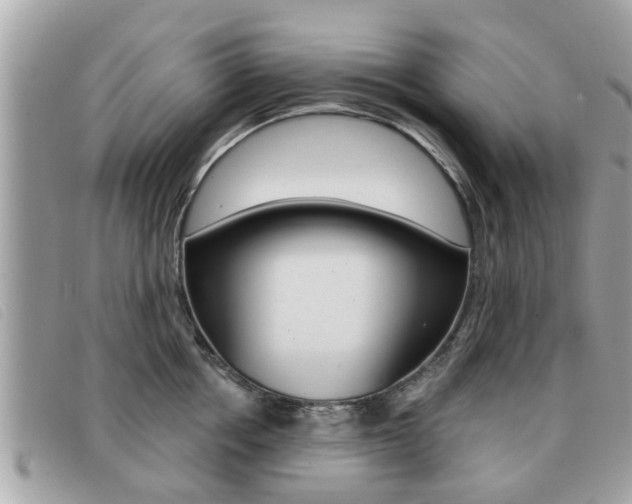 X0000091530858200708170948
