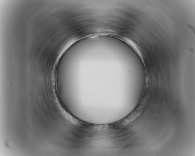 X0000091530859200708170948