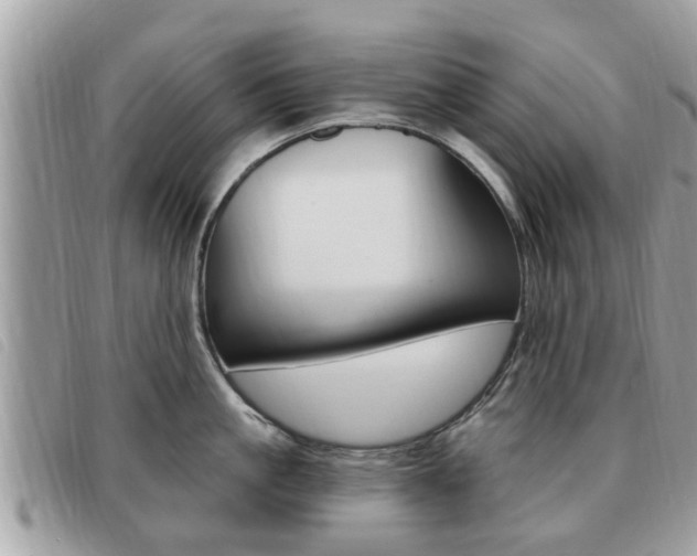 X0000091530861200708170948