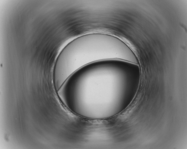 X0000091530862200708170948