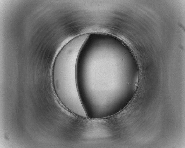 X0000091530864200708170948