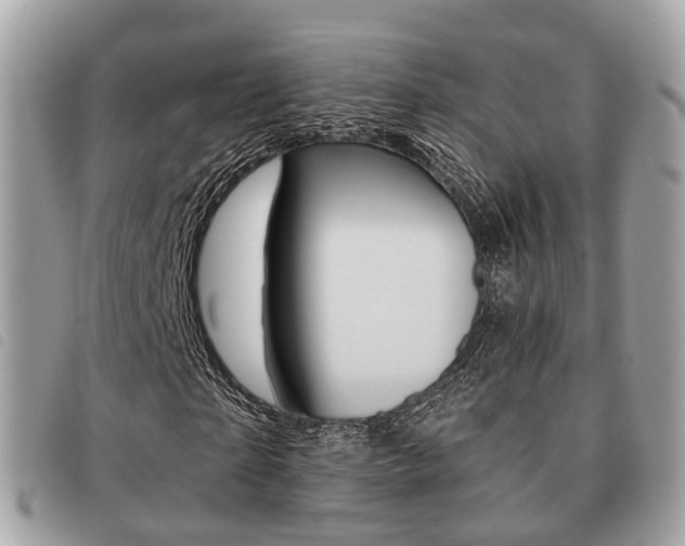 X0000091530865200708170948