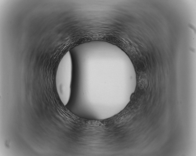 X0000091530866200708170948