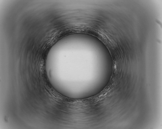 X0000091530867200708170948