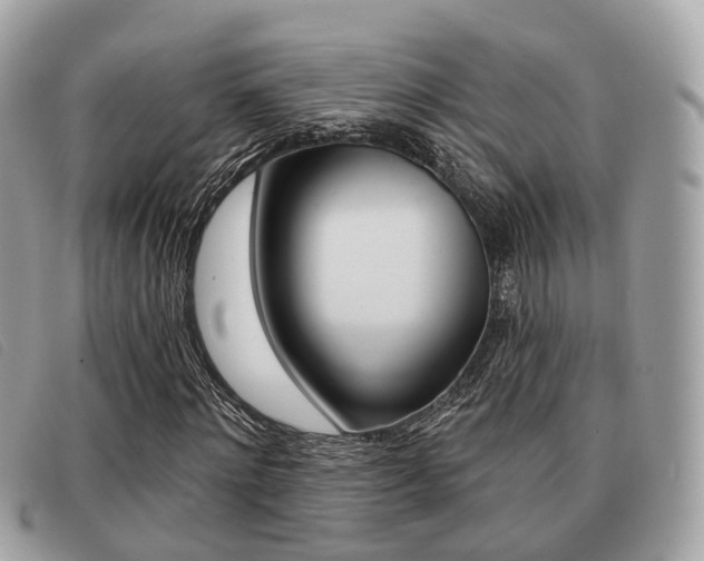 X0000091530868200708170948