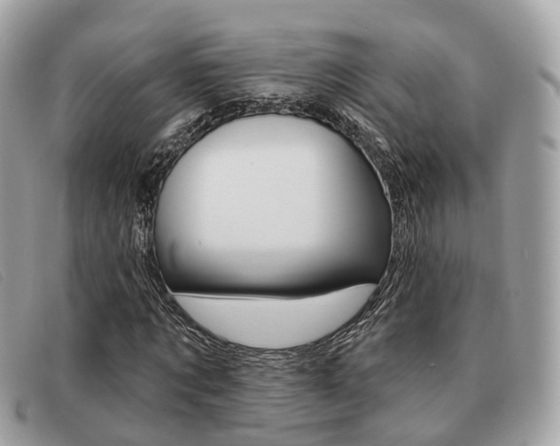 X0000091530869200708170948