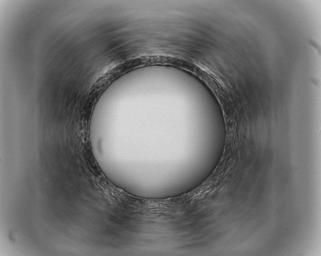 X0000091530870200708170948