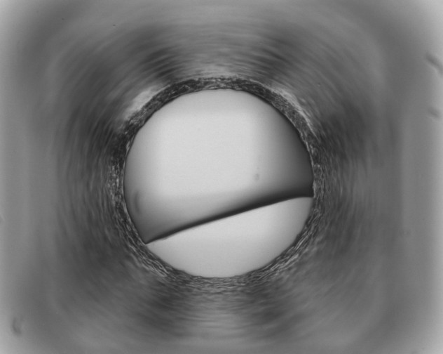 X0000091530871200708170948