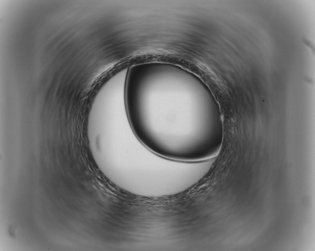 X0000091530872200708170948