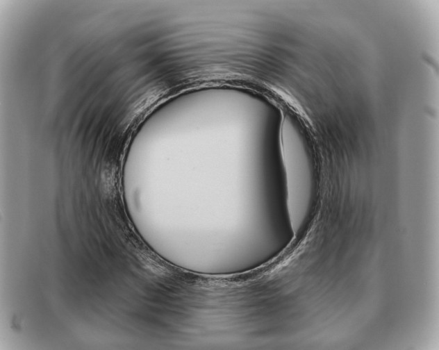 X0000091530873200708170948