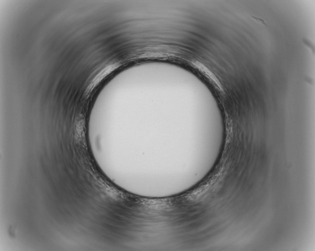 X0000091530874200708170948