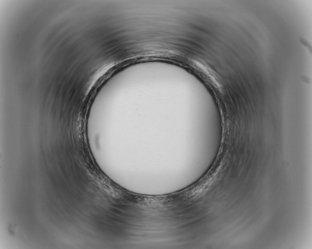 X0000091530875200708170948