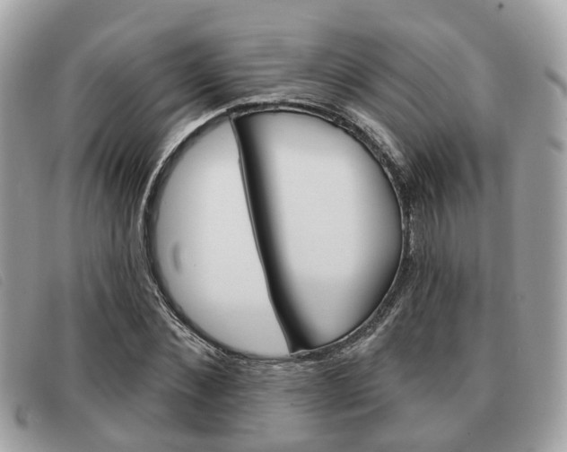 X0000091530876200708170948