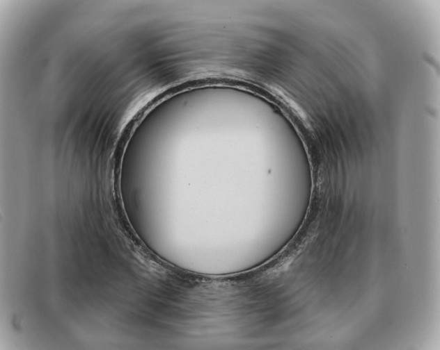 X0000091530877200708170948