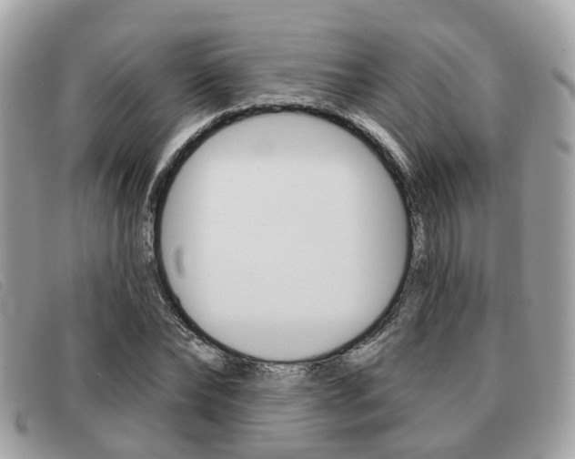 X0000091530878200708170948